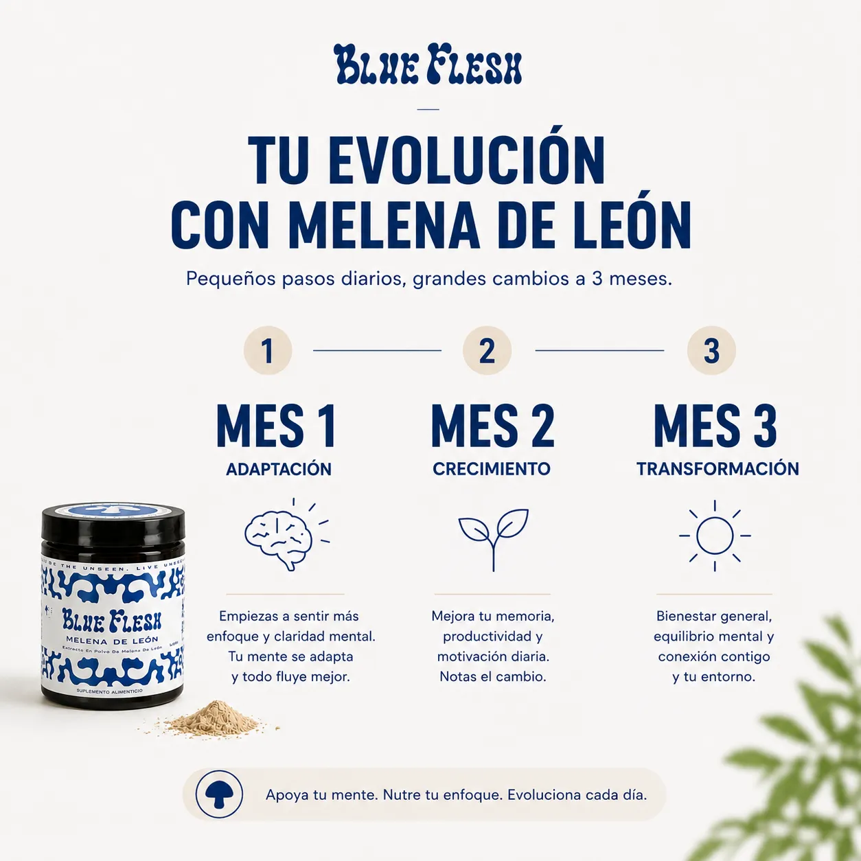 Evolución de una rutina de tres meses con Melena de León Blue Flesh